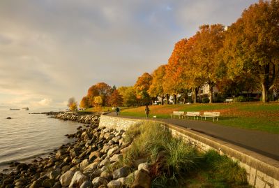 Place Large Stones on the Shoreline or Riverbank!